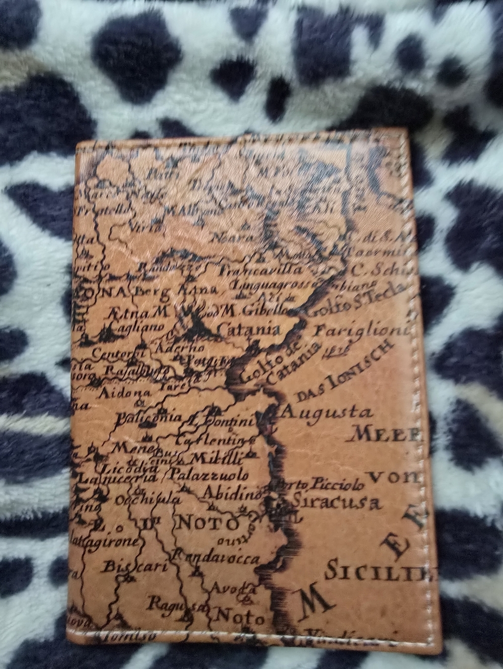 Genuine Leather Passport Cover with Antique Map Print - Tan & Brown Made In Usa